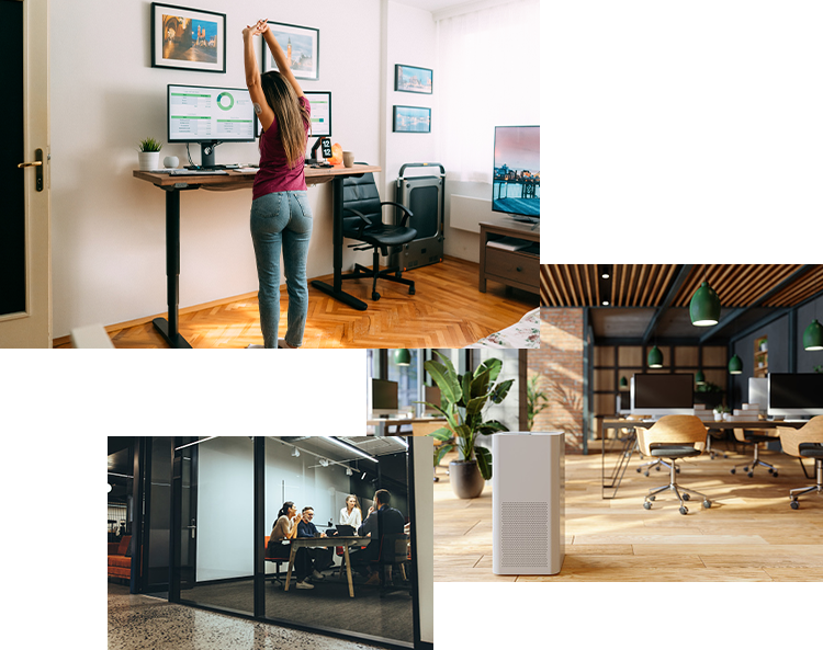 service-healthwellness service-healthwellness