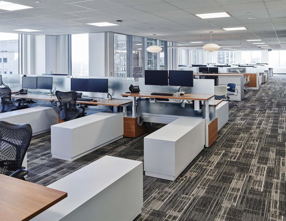 Office-Workstations-Sit-Stand-Desks-Frosted-Glass-Partitions